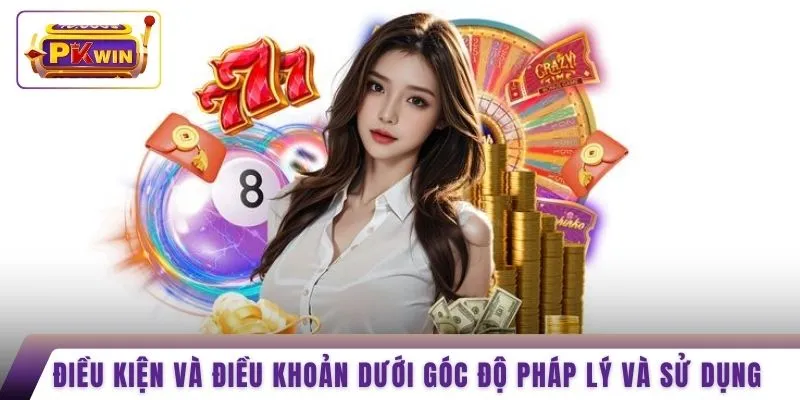 Điều kiện và điều khoản dưới góc độ pháp lý và sử dụng