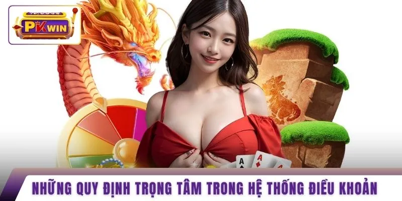 Những quy định trọng tâm trong hệ thống điều khoản